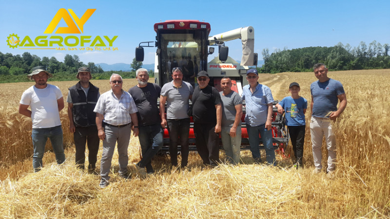 Samsun’da 2025’in İlk Arpa Hasadı Agrofayfmworld Biçerdöverleriyle Başladı