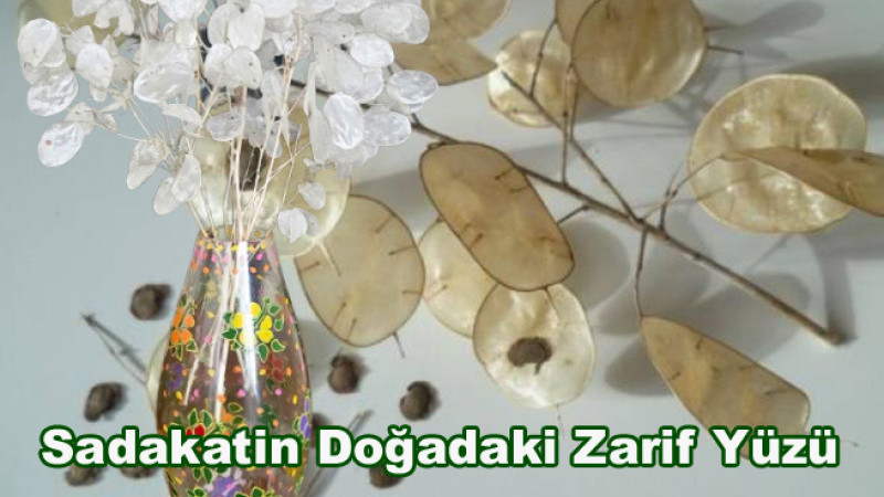 Sadakatin Doğadaki Zarif Yüzü