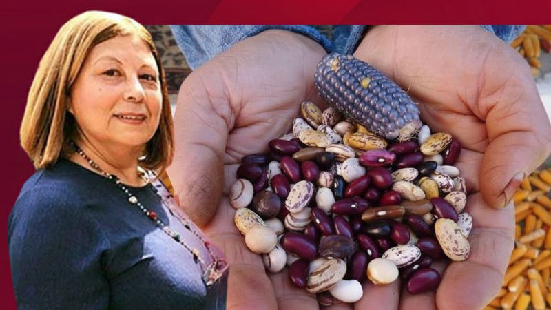 Toprağın Kalbine Dokunan Kadın