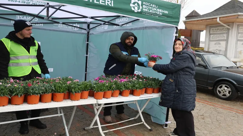 Kocaeli Büyükşehir'den ücretsiz binlerce çiçek