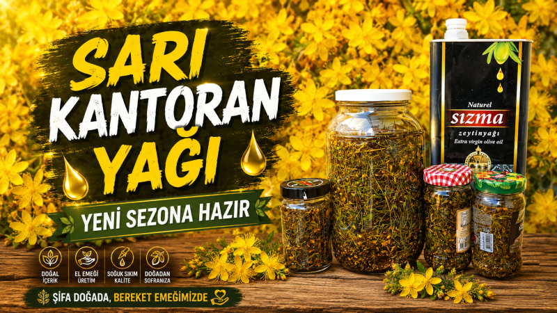 Karadeniz'in Doğal Şifası: Sarı Kantaron Yağına İlgi Artıyor
