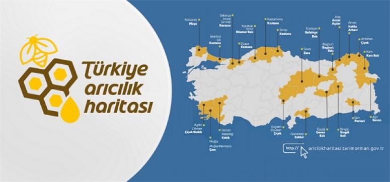 TÜRKİYE'NİN ARICILIK HARİTASI
