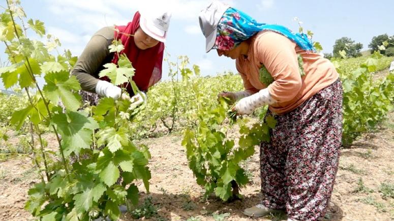 Bu ürün yok satıyor!