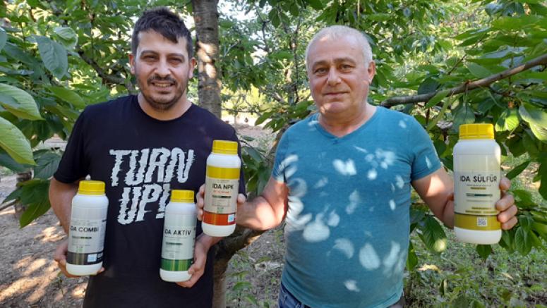Kiraz’da hasat sonrası besleme başladı