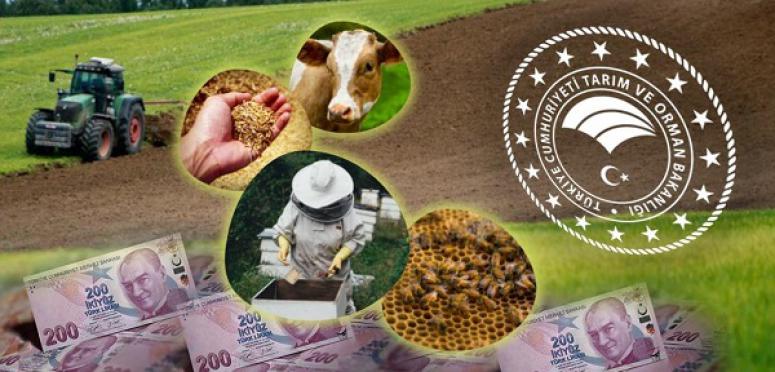 TARIM  DESTEK ÖDEMELERİ BUGÜN BAŞLIYOR