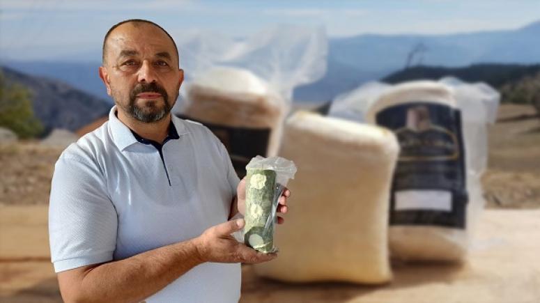 Küflü Fatoş Sonbaharı Bekliyor