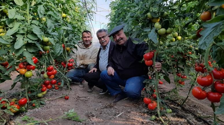 KAPALI ALANLARDA YAPILAN TÜM BİTKİSEL ÜRETİM KAYIT ALTINA ALINACAK