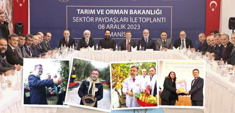 BAKAN YUMAKLI, MANİSA’DA KATILDIĞI ZEYTİN HASADINDA KONUŞTU