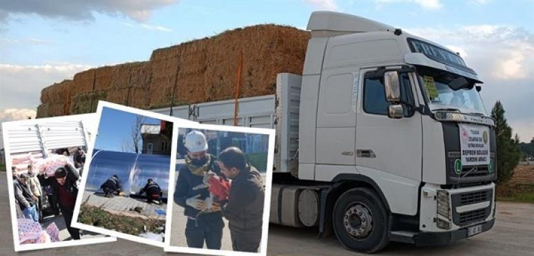 DEPREM BÖLGESİNDE HAYVAN ÇADIRI, YEM VE MAMA DAĞITIMI DEVAM EDİYOR