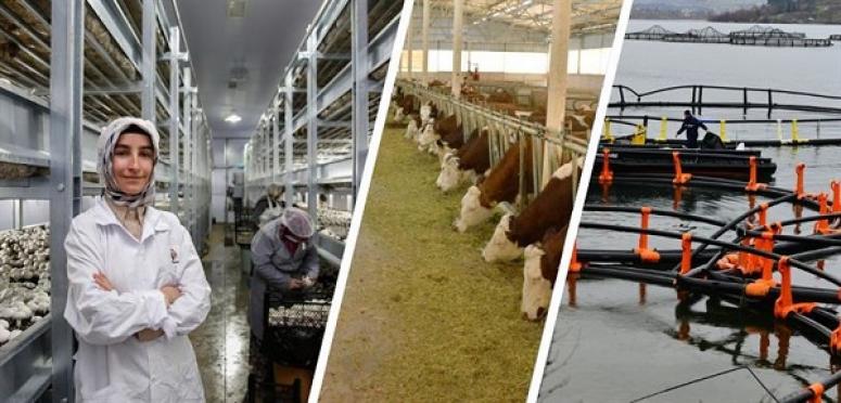 IPARD III PROGRAMI 2024 YILI ÇAĞRI TAKVİMİ YAYIMLANDI