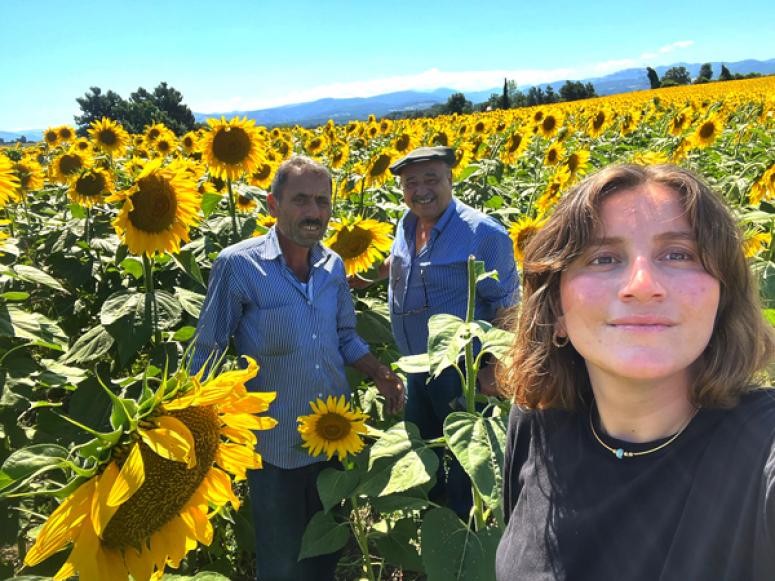 Ayçiçeği üreticilerinin dikkatine!.