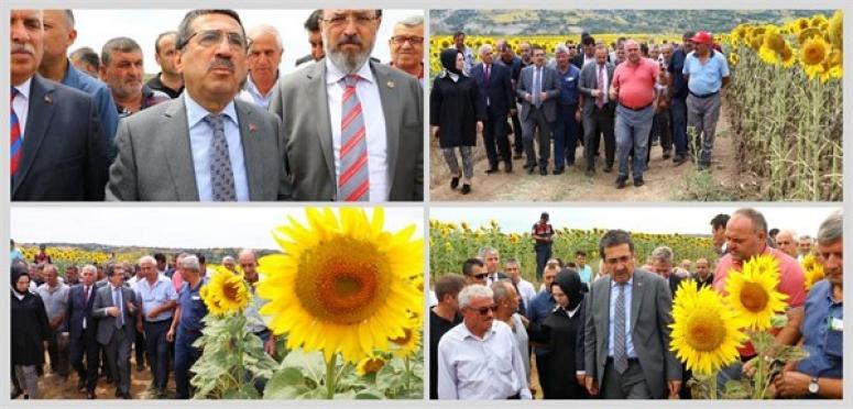 BAKAN YARDIMCISI PAKDİL: 