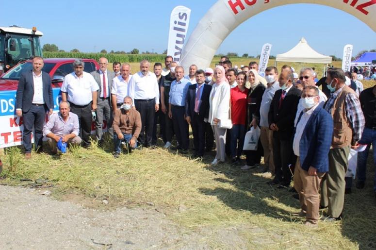 Çeltik ürününde turfanda dönemi