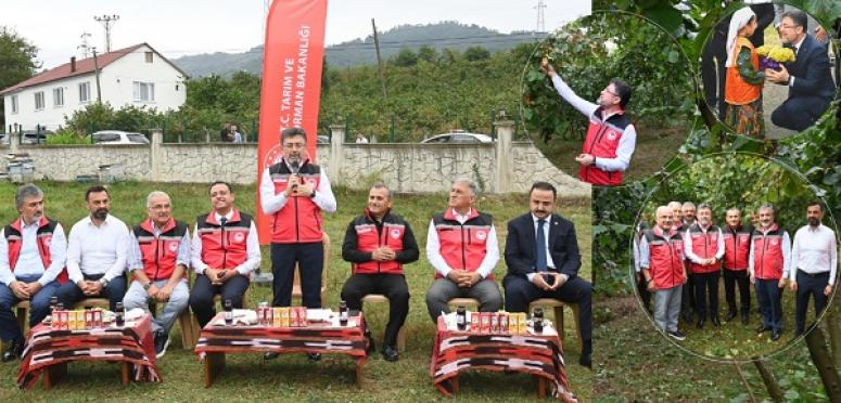“TMO FINDIK ALIMLARINA 28 AĞUSTOS’TA BAŞLAYACAK”