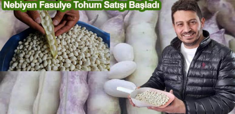 Nebiyan Fasulye Tohum Satışı Başladı