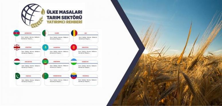TÜRK ÖZEL SEKTÖRÜ YURT DIŞI TARIMSAL YATIRIMLARINI 