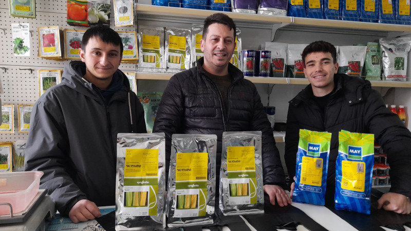 TURFANDA MISIR BAYRAM SONRASI TOPRAKLA BULUŞACAK