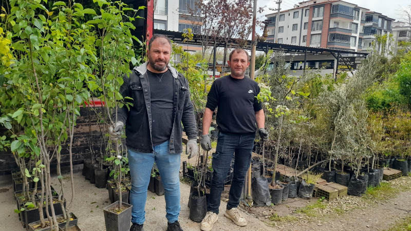 Perşembe Sinop, Cuma Erfelek: 30 Yıllık Yeşil Yolculuk 