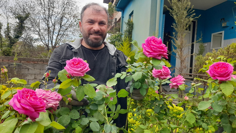 Reçellik Isparta Gülüne Karadeniz’de Yoğun İlgi
