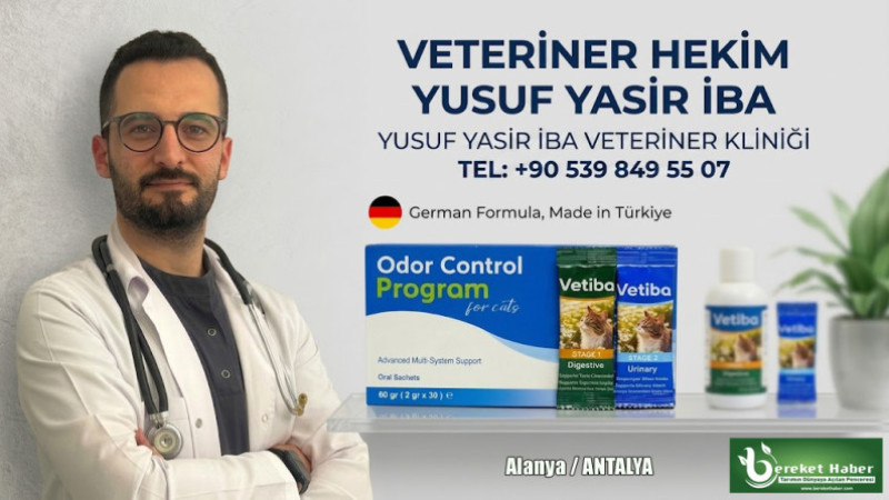 Vetiba’DAN KEDİLER İÇİN SAĞLIK VE HİJYEN ODAKLI YENİLİK