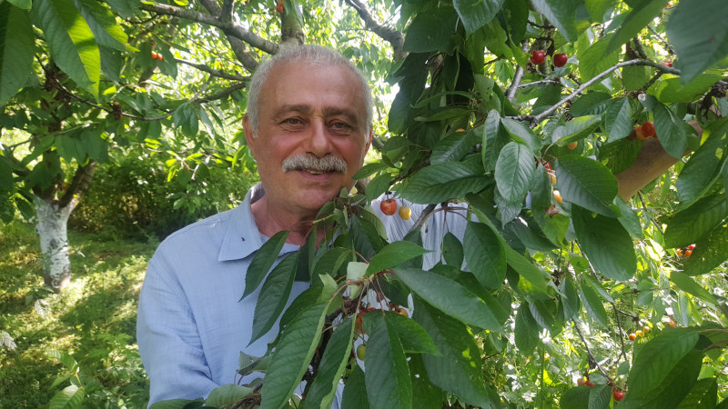 “İstediğin Kadar Topla, Topladığın Kadar Öde” 