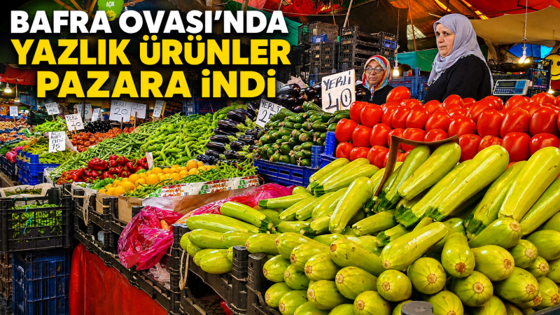 BAFRA OVASI’NDA YAZLIK ÜRÜNLER PAZARA İNDİ