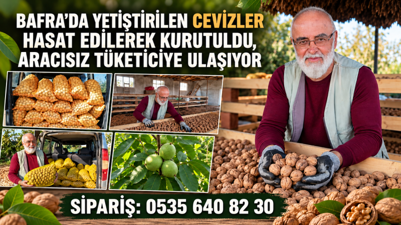 CEVİZ ÜRETİMİNDE 7 TONLUK HASAT