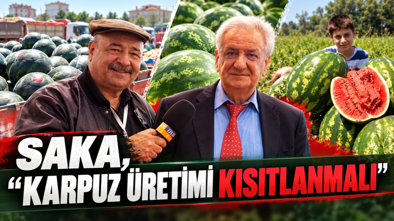 KARPUZ ÜRETİMİ DÜŞÜRÜLMELİ