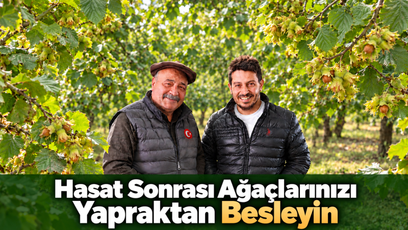 Hasat Sonrası Ağaçlarınızı Yapraktan Besleyin