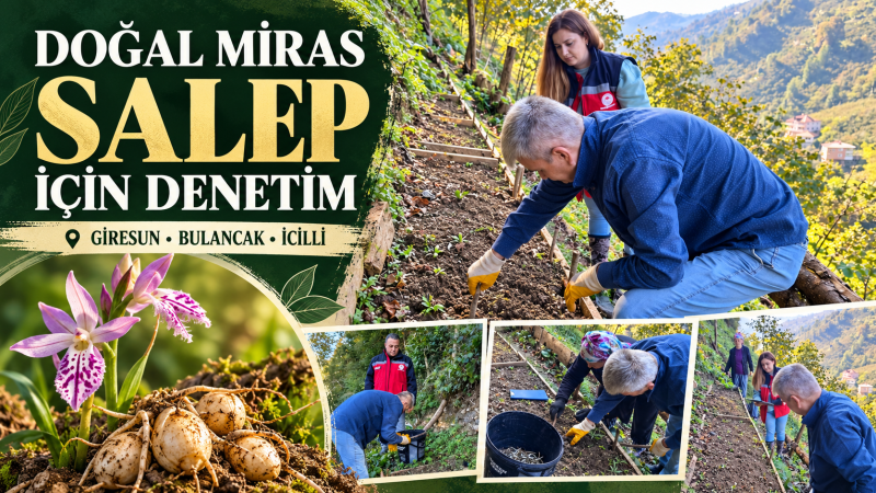 DOĞAL MİRAS SALEP İÇİN DENETİM