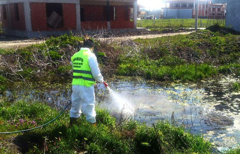 BAFRA BELEDİYESİ LARVA MÜCADELESİNE DEVAM EDİYOR