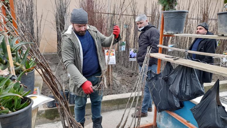 AŞIRI YAĞIŞLAR FİDAN SATIŞLARINI OLUMSUZ ETKİLEDİ