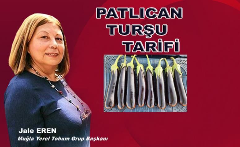 Patlıcan Turşusu Tarifi