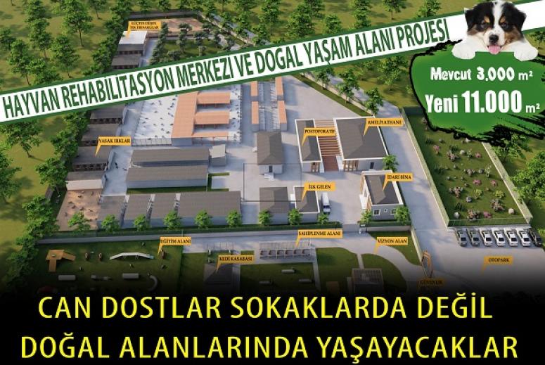 DOĞAL ALANLARINDA YAŞAYACAKLAR