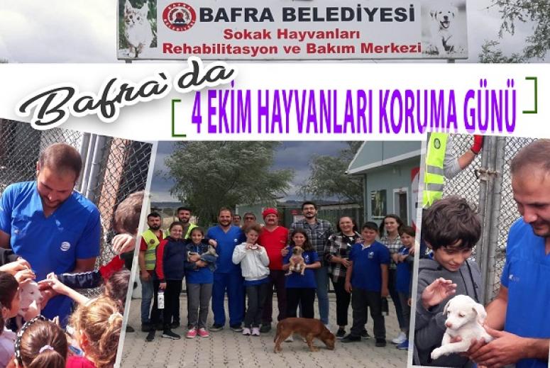 BAFRA’DA “4 EKİM SOKAK HAYVANLARI KORUMA GÜNÜ”