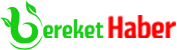 Bereket Haber