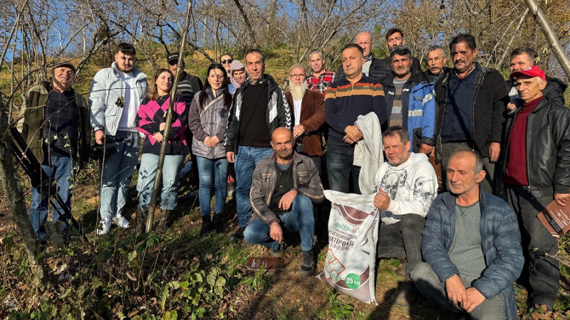 EREĞLİ-TEPEÖRENLİ FINDIK ÜRET,CİLERİNE HATİPOĞLU GÜBRE UYGULAMALI BUDA